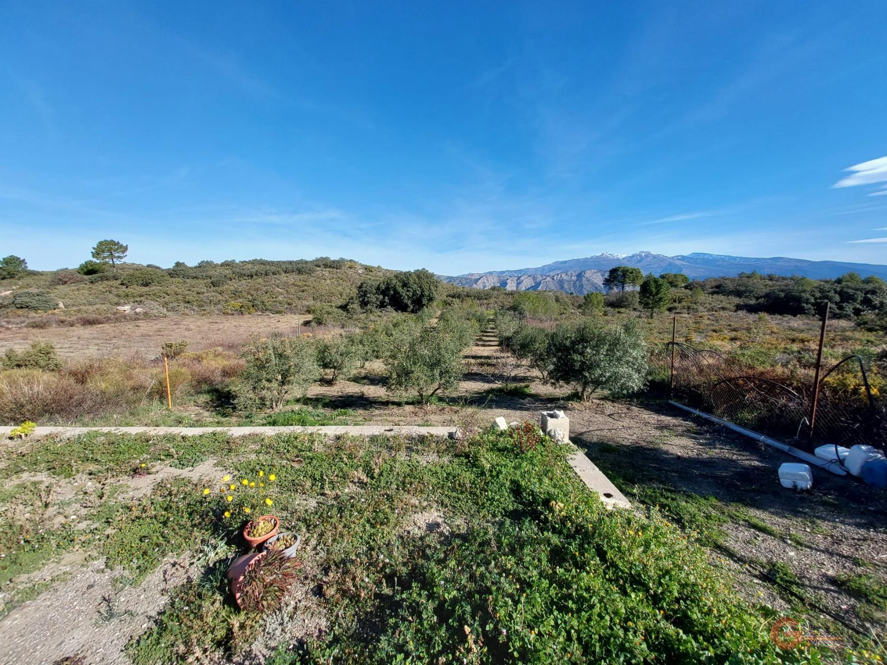 For sale of rural property in Molvízar