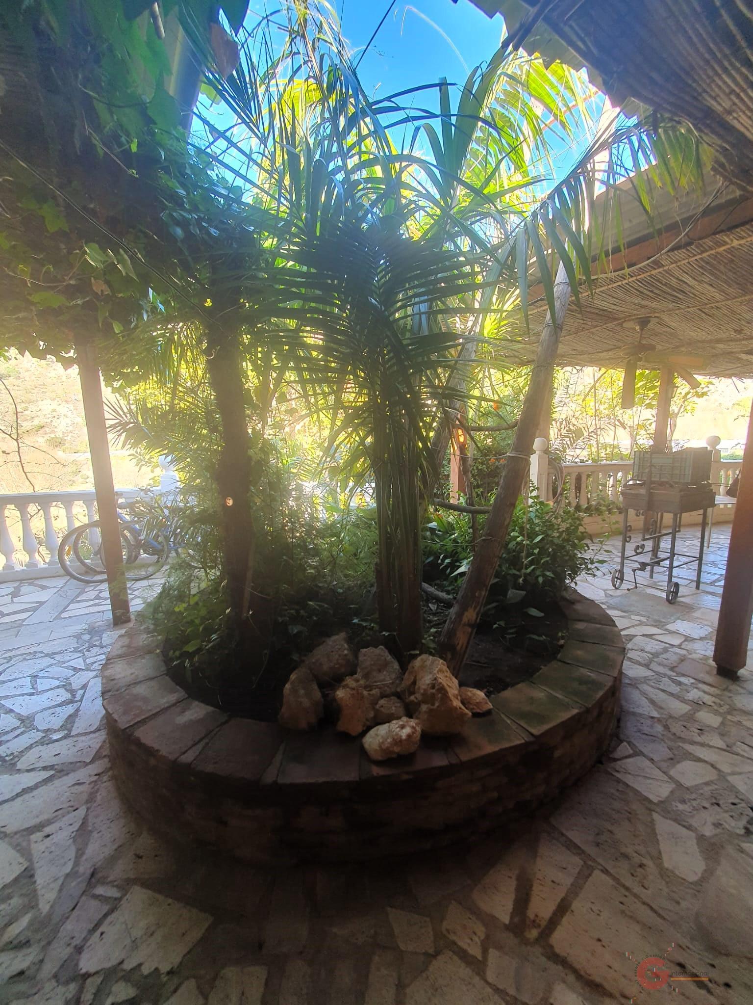 For sale of rural property in Vélez de Benaudalla