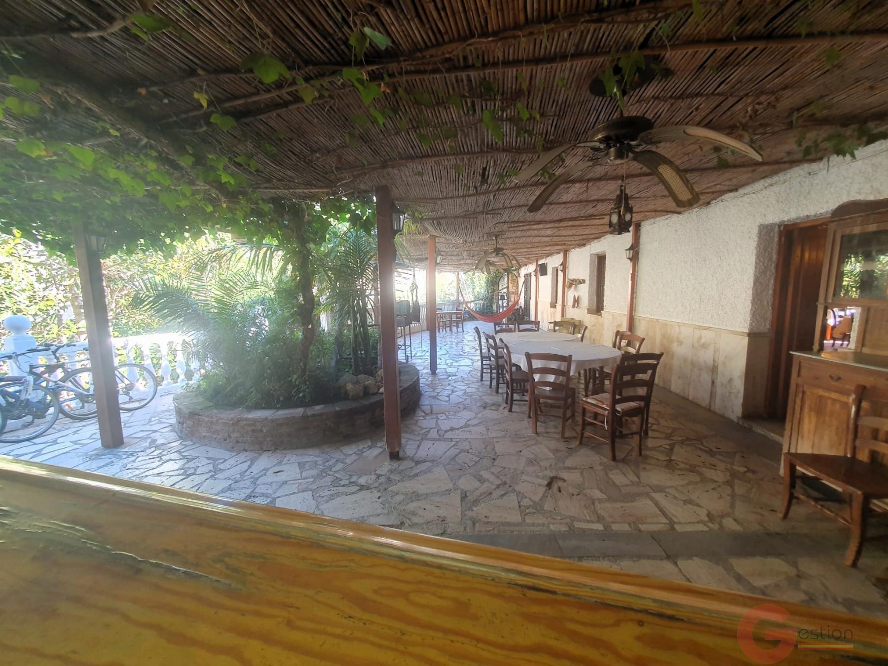 Venta de finca rústica en Vélez de Benaudalla Venta de finca rústica en Vélez de Benaudalla