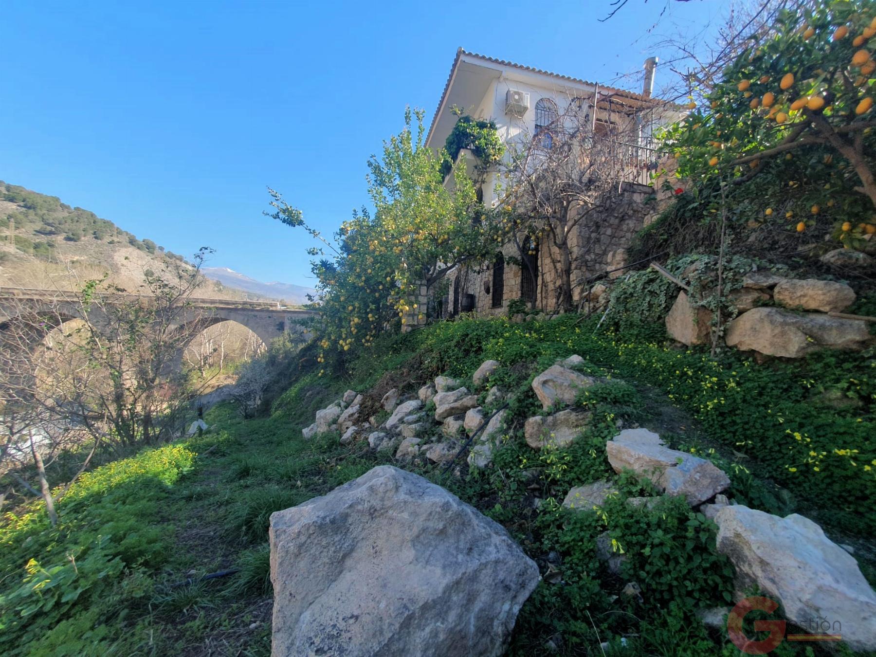 Venta de finca rústica en Vélez de Benaudalla Venta de finca rústica en Vélez de Benaudalla