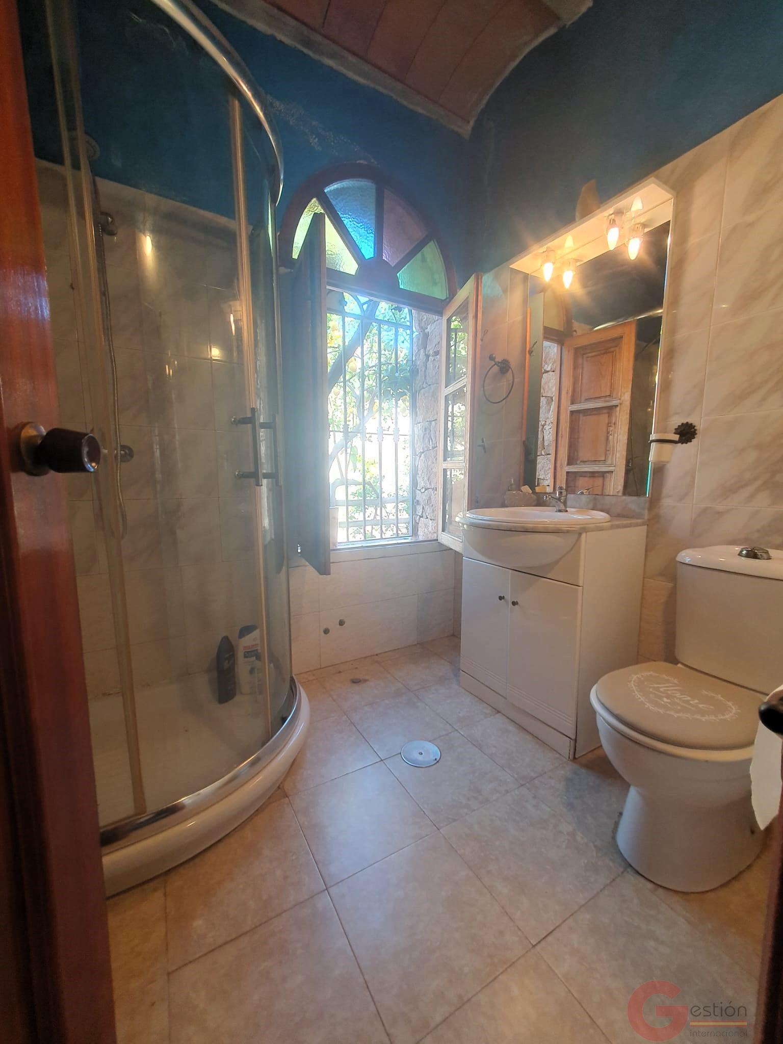 Venta de finca rústica en Vélez de Benaudalla Venta de finca rústica en Vélez de Benaudalla