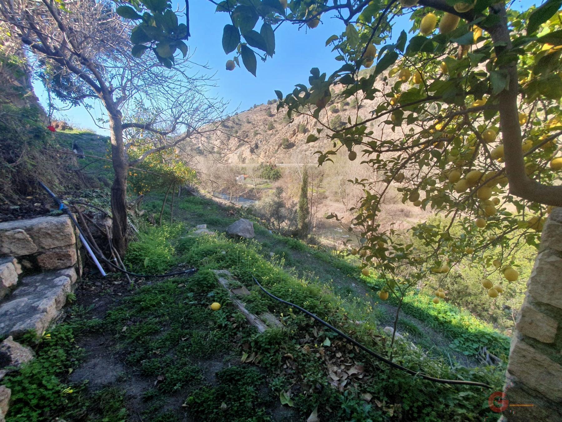 For sale of rural property in Vélez de Benaudalla