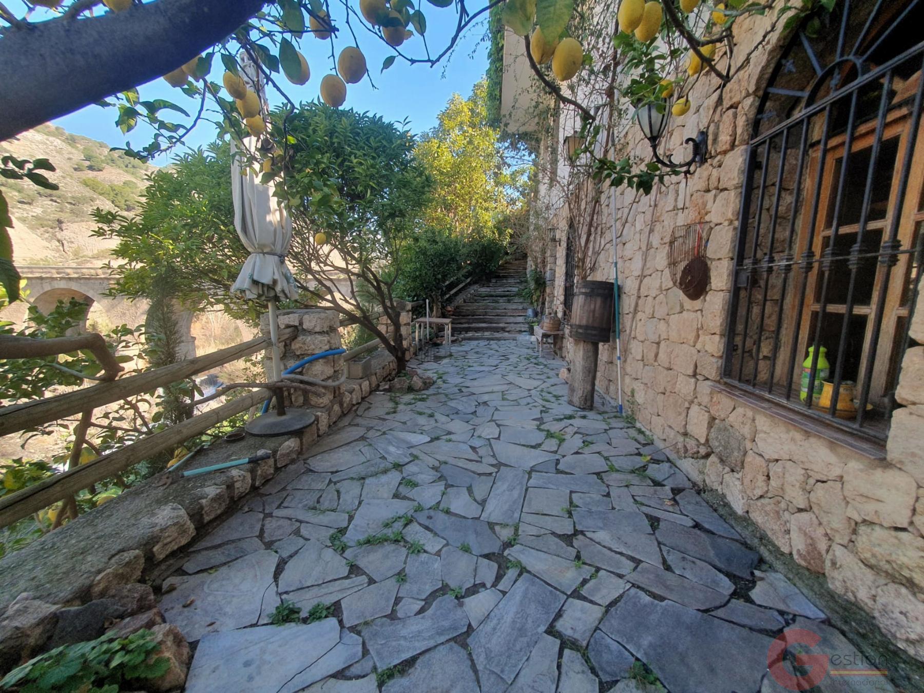 Venta de finca rústica en Vélez de Benaudalla Venta de finca rústica en Vélez de Benaudalla