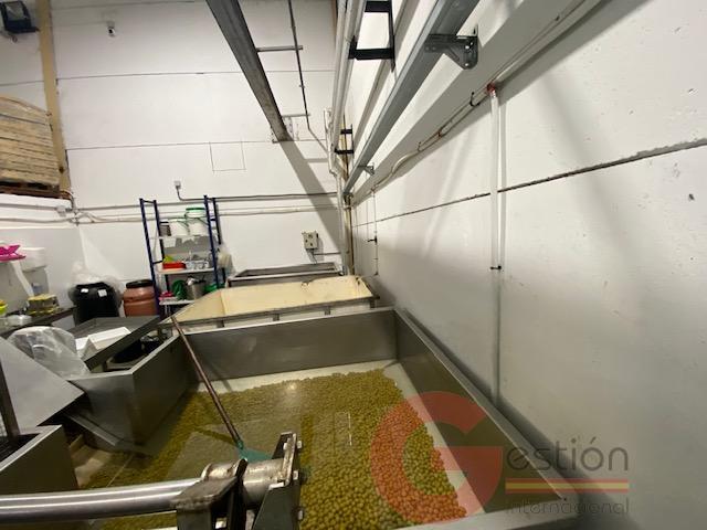 Venta de nave en Noalejo Venta de nave en Noalejo