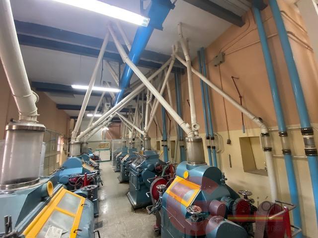 Venta de nave en Noalejo Venta de nave en Noalejo