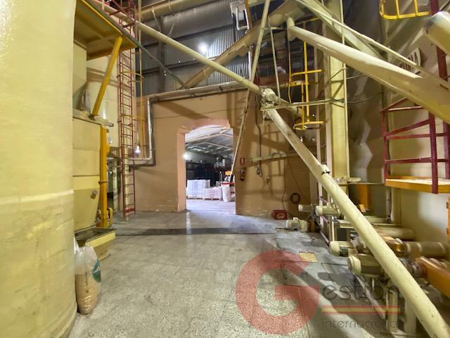 Venta de nave en Noalejo Venta de nave en Noalejo