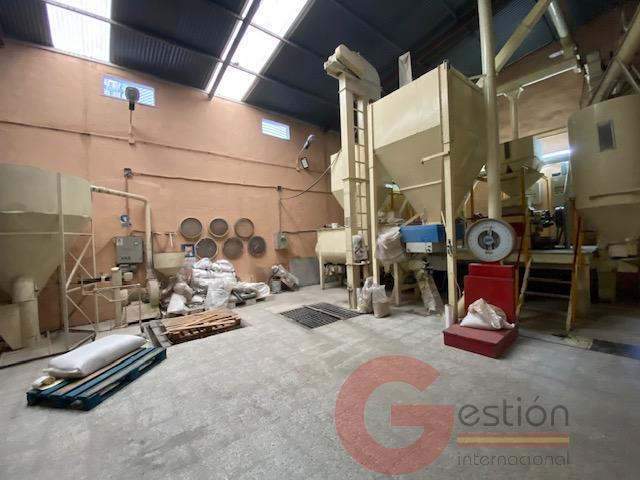 Venta de nave en Noalejo Venta de nave en Noalejo