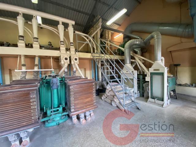 Venta de nave en Noalejo Venta de nave en Noalejo