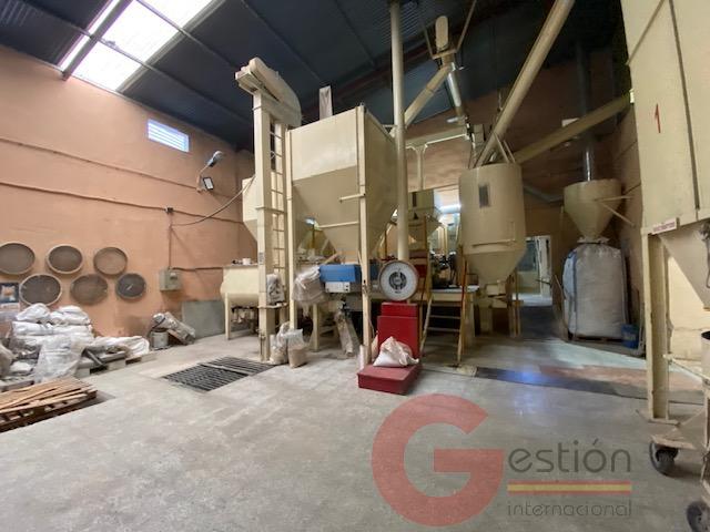 Venta de nave en Noalejo Venta de nave en Noalejo