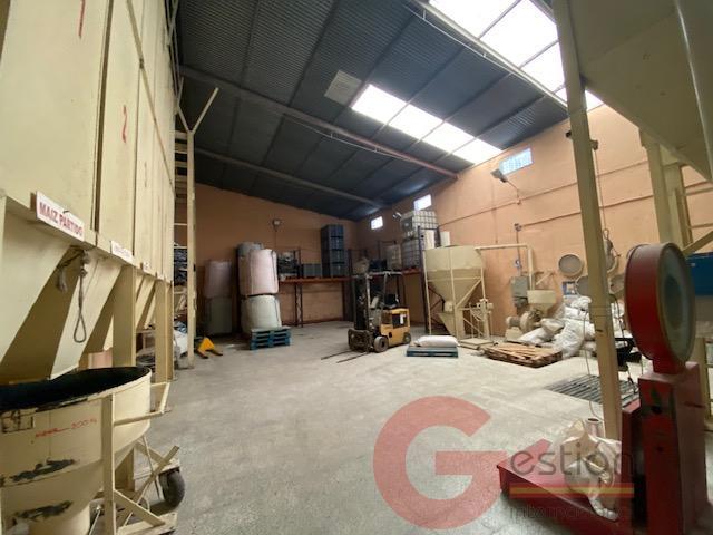 Venta de nave en Noalejo Venta de nave en Noalejo