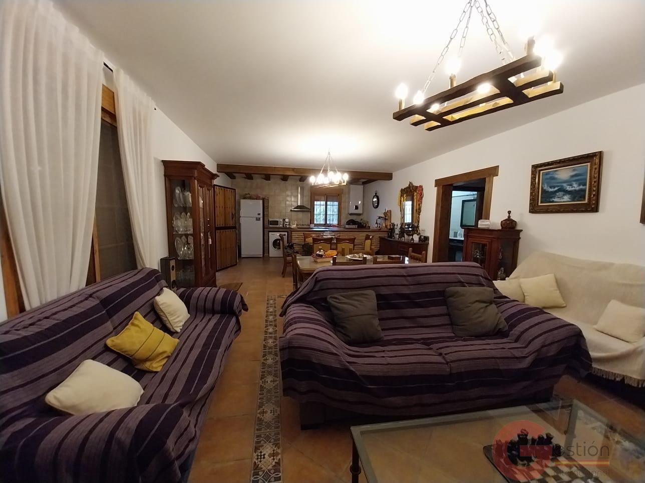 Venta de finca rústica en Molvízar Venta de finca rústica en Molvízar