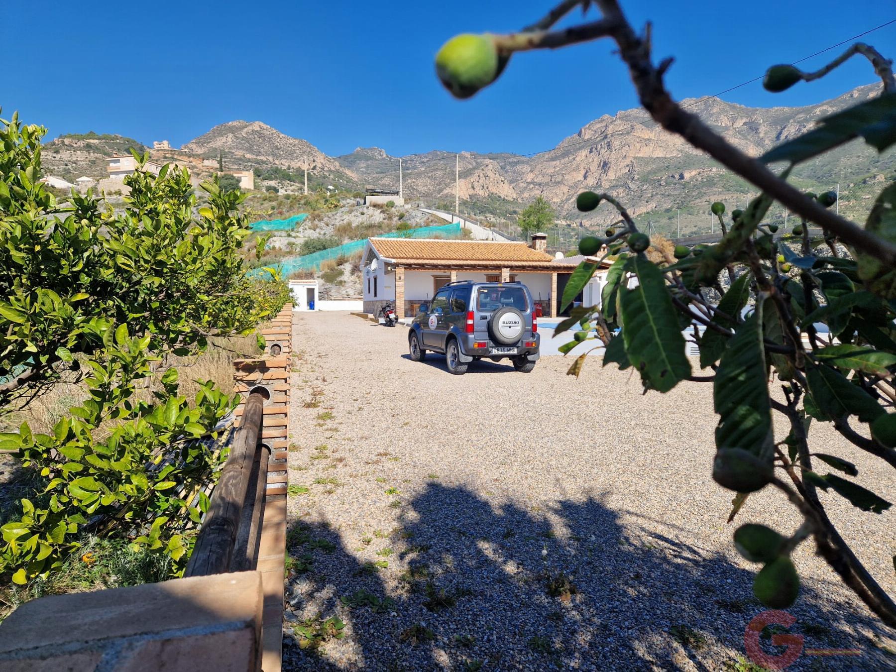 Venta de finca rústica en Molvízar