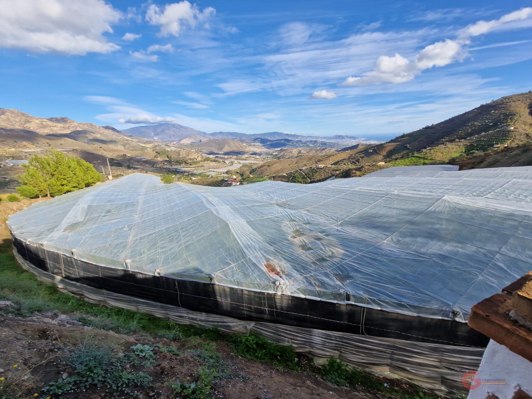 Venta de finca rústica en Itrabo