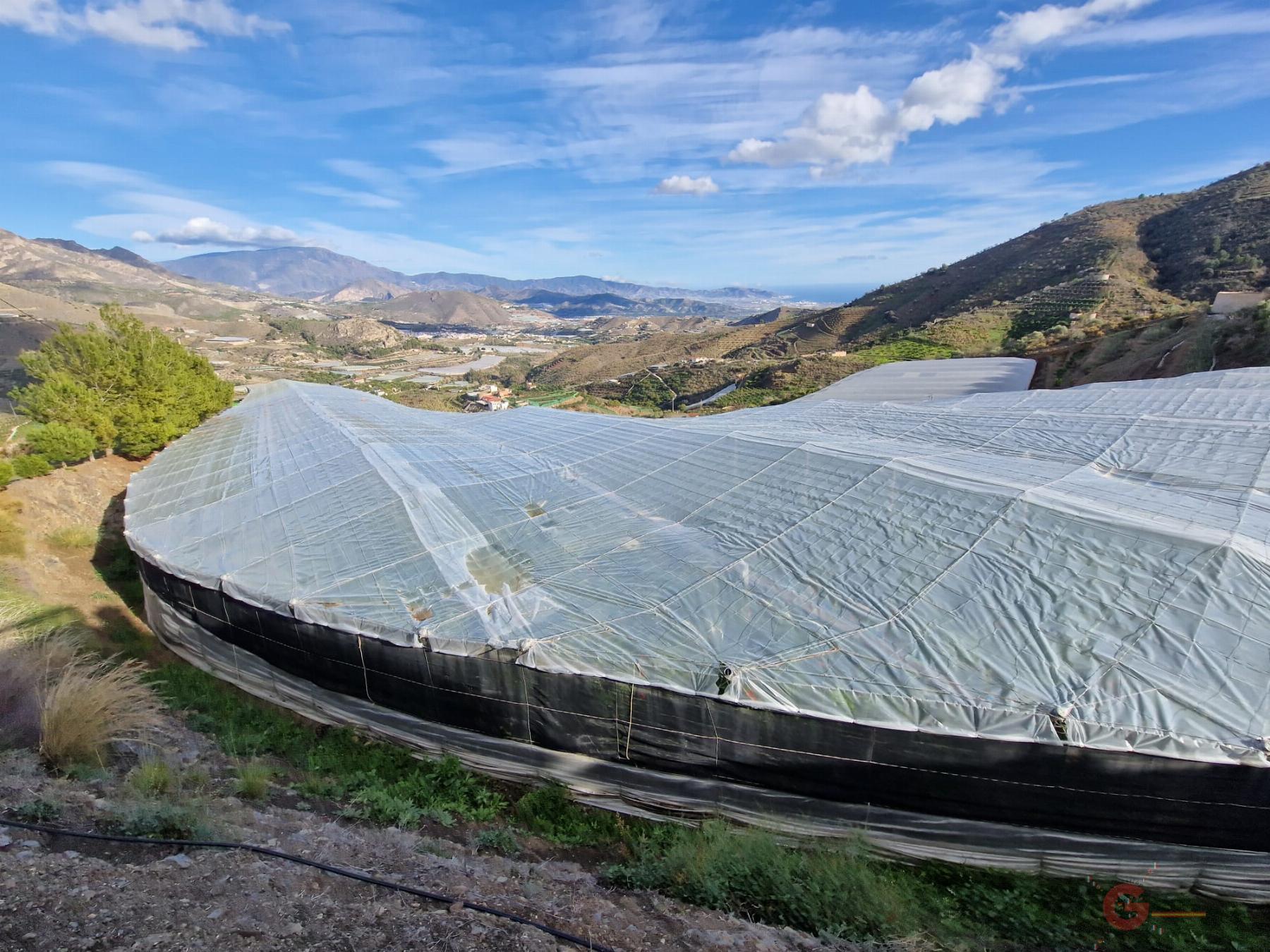 Venta de finca rústica en Itrabo