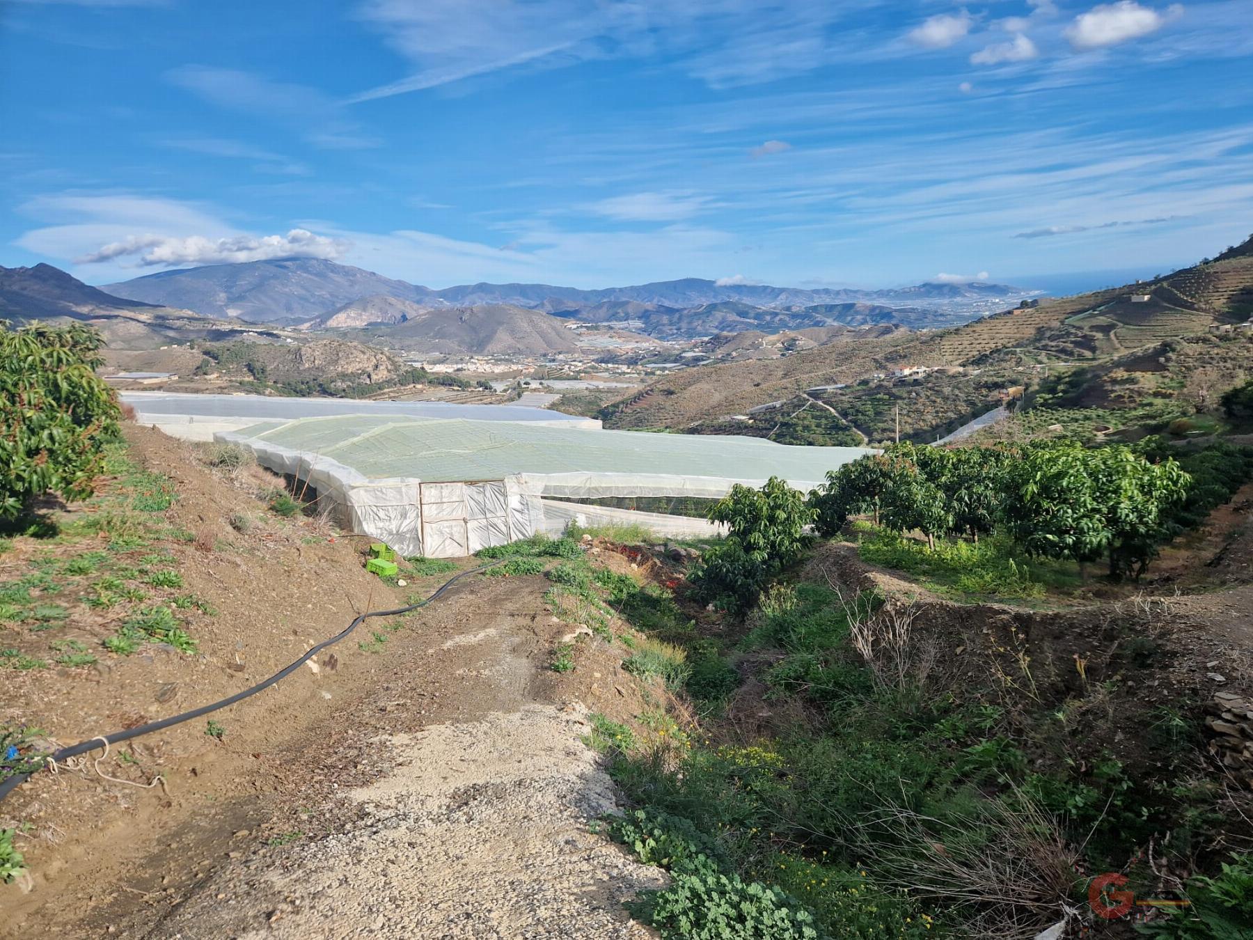 Venta de finca rústica en Itrabo