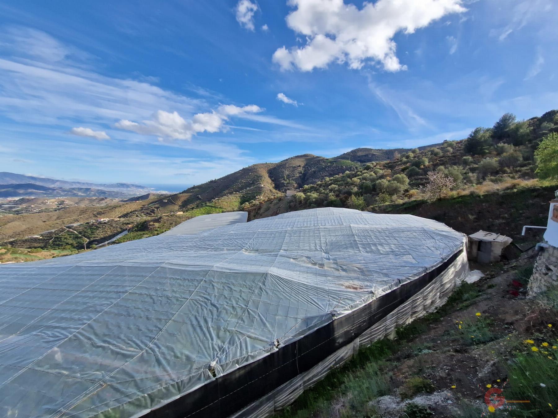 Venta de finca rústica en Itrabo