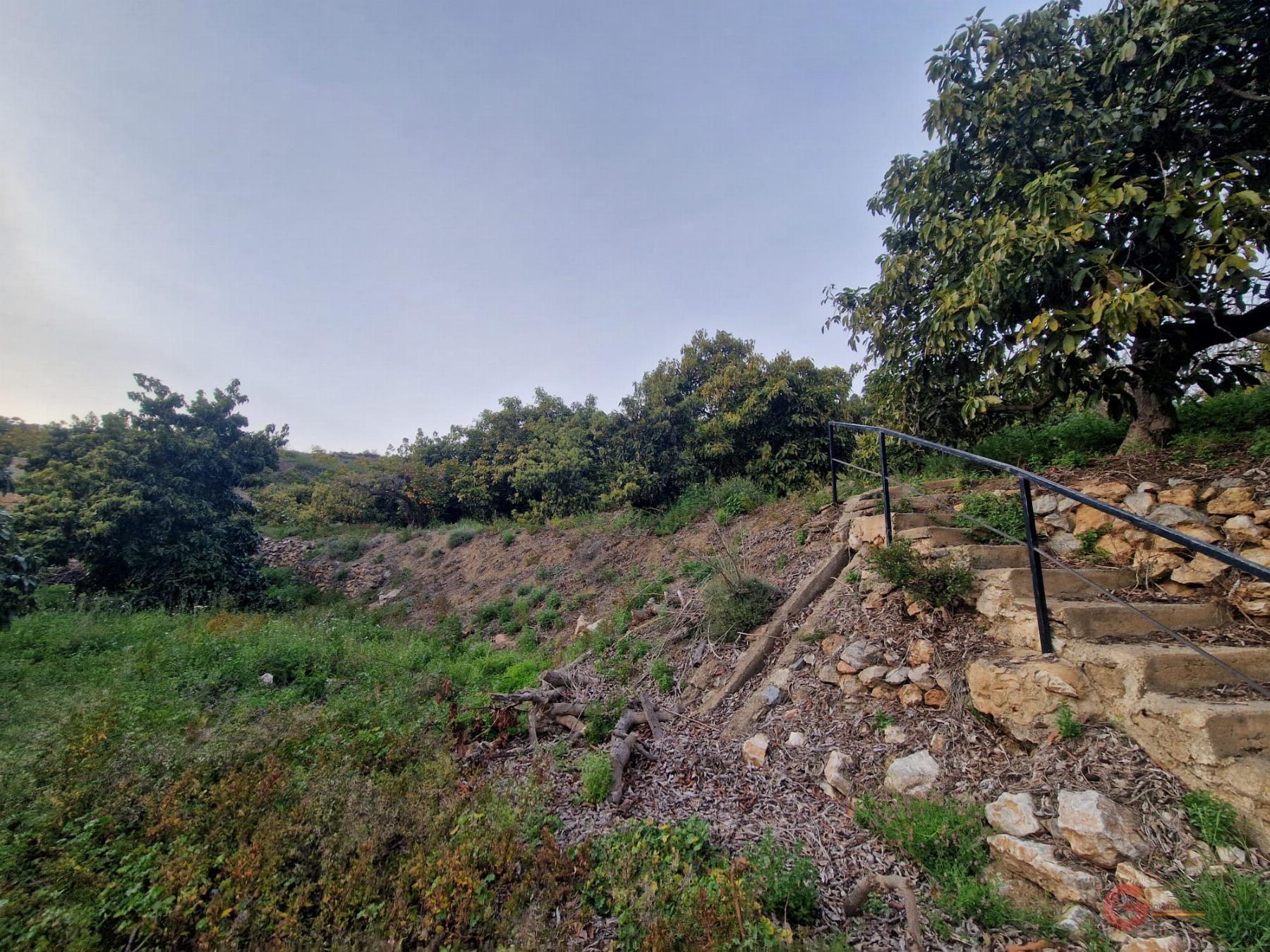 Vente de propriété rurale dans Itrabo