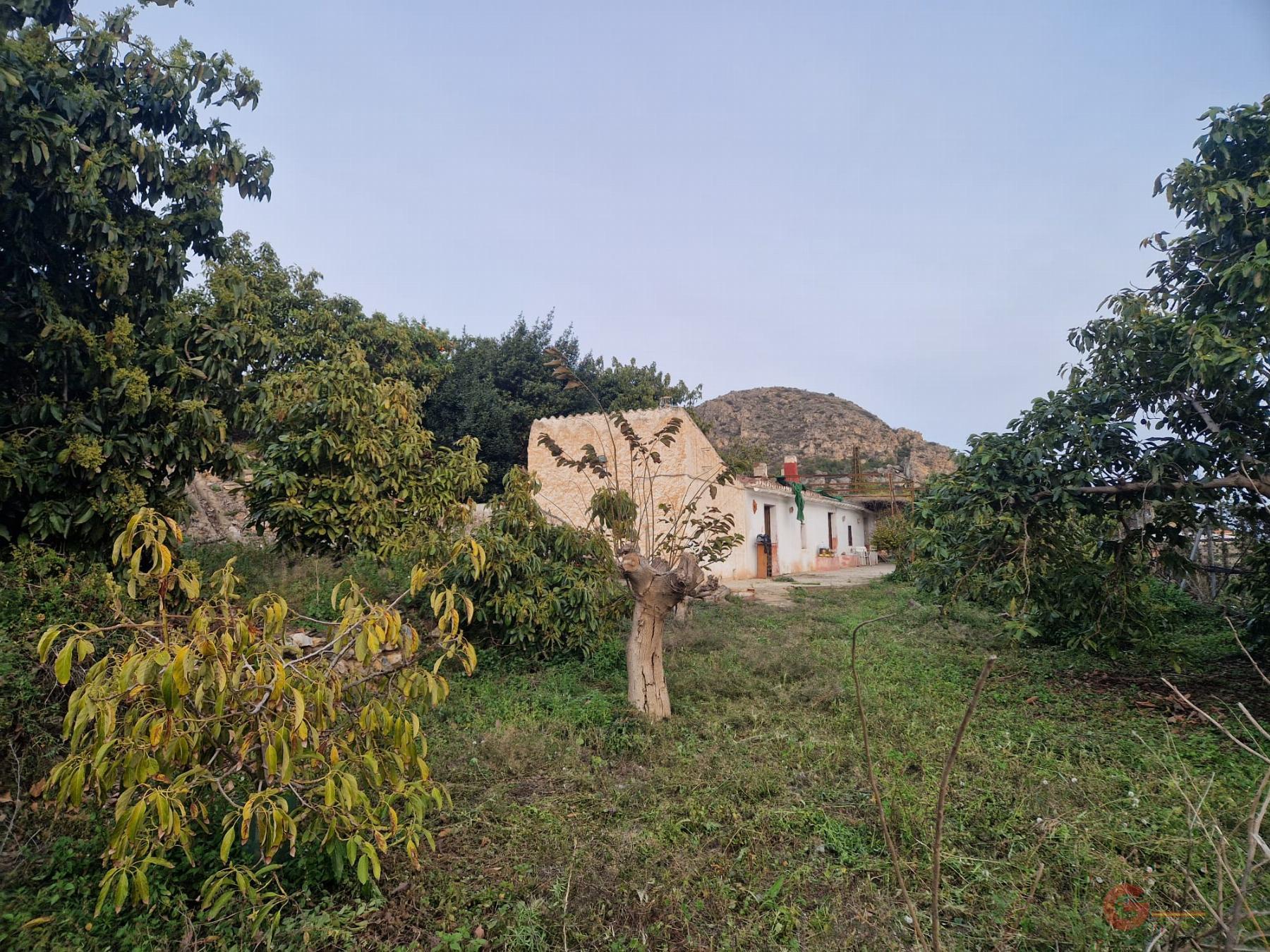 Vente de propriété rurale dans Itrabo