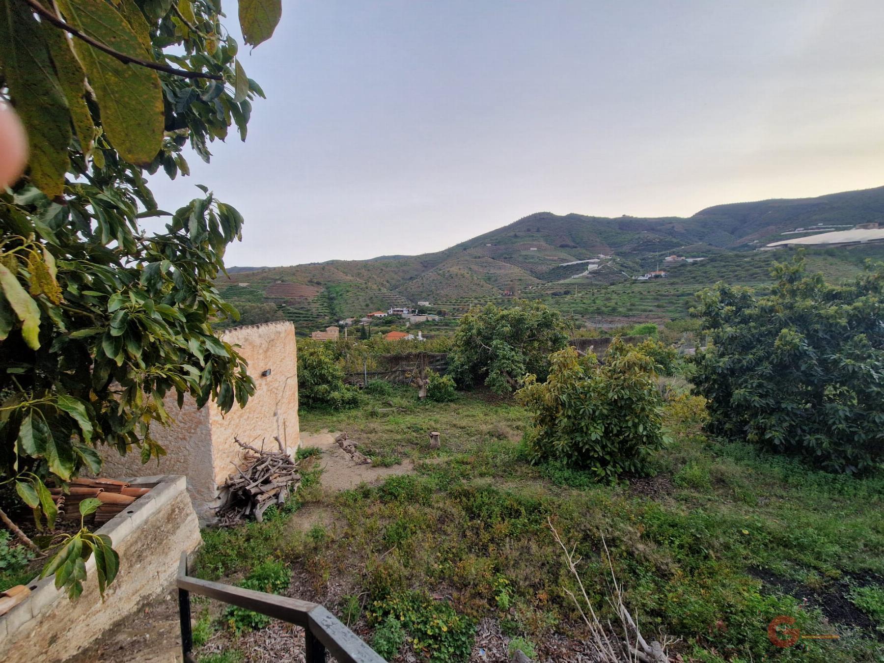 Vente de propriété rurale dans Itrabo
