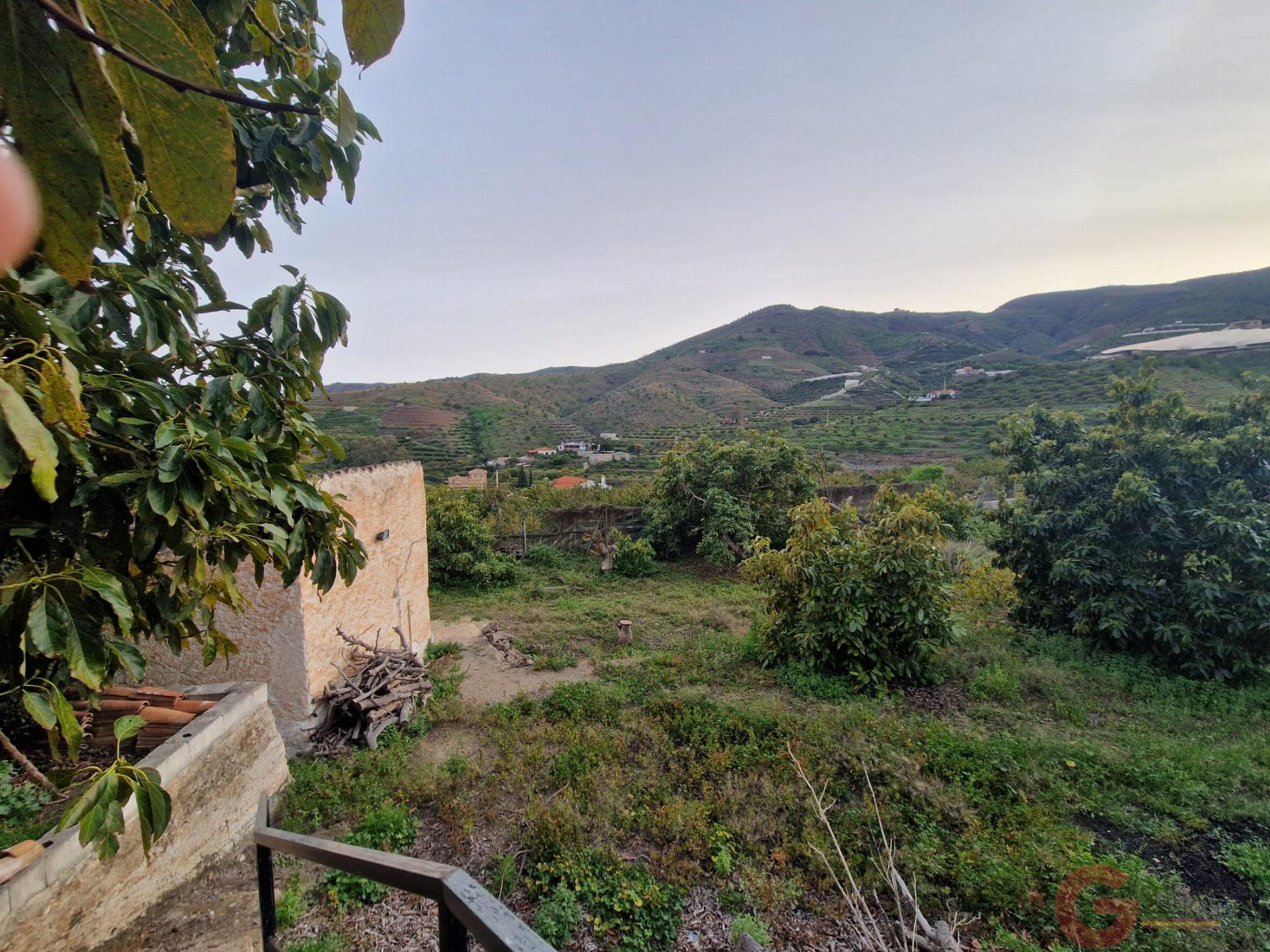 Venta de finca rústica en Itrabo Venta de finca rústica en Itrabo