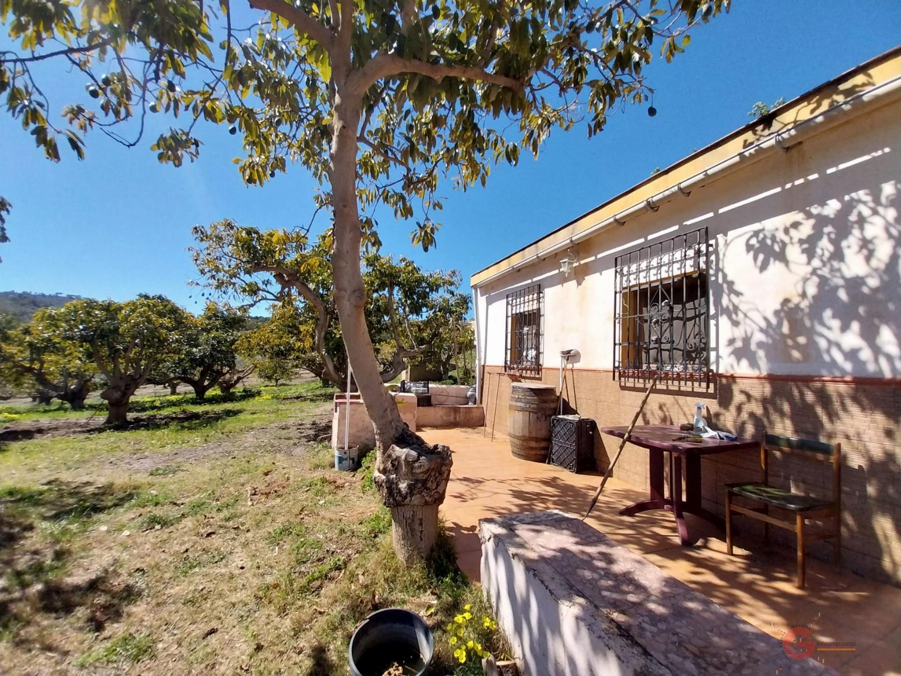 For sale of rural property in Salobreña