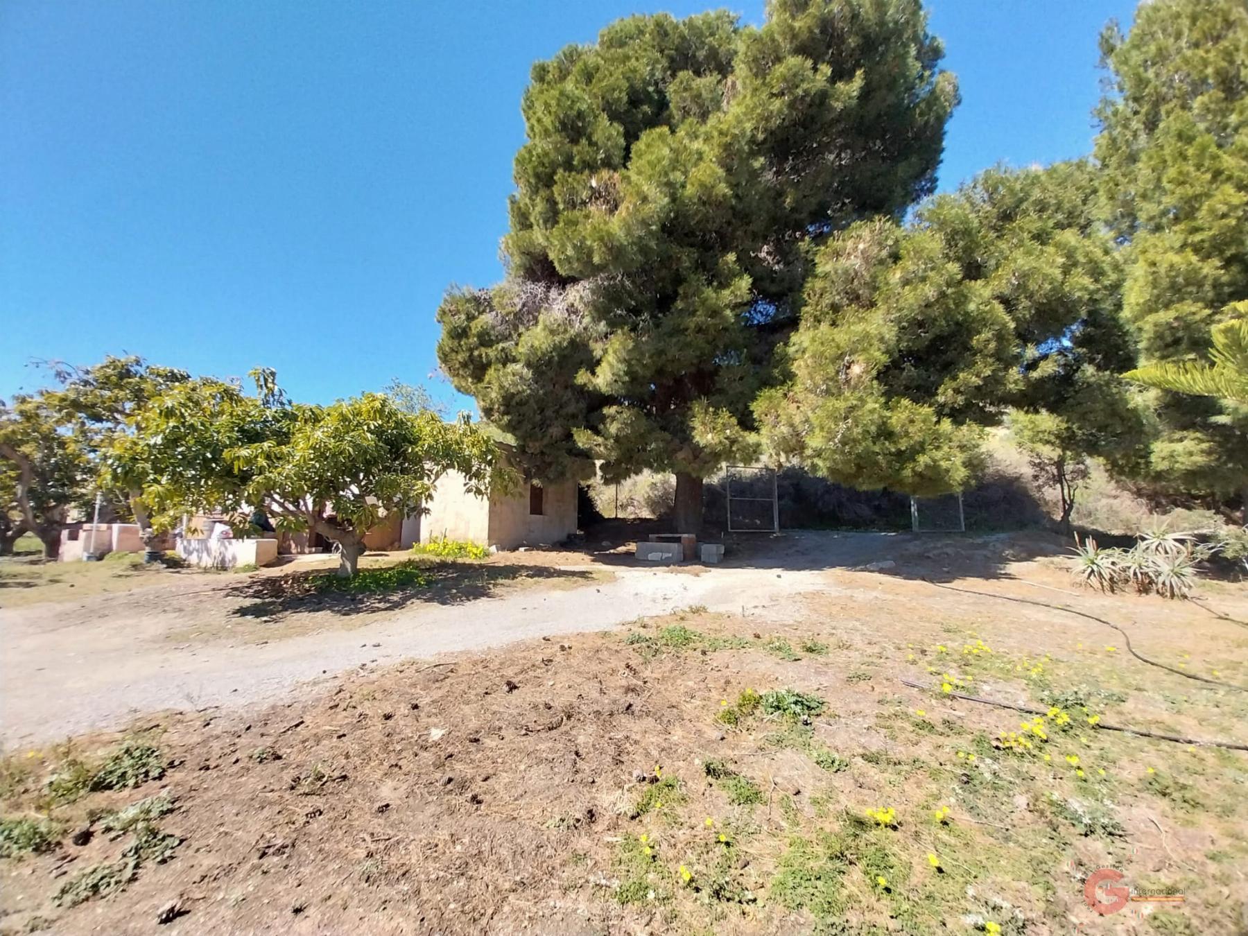 For sale of rural property in Salobreña