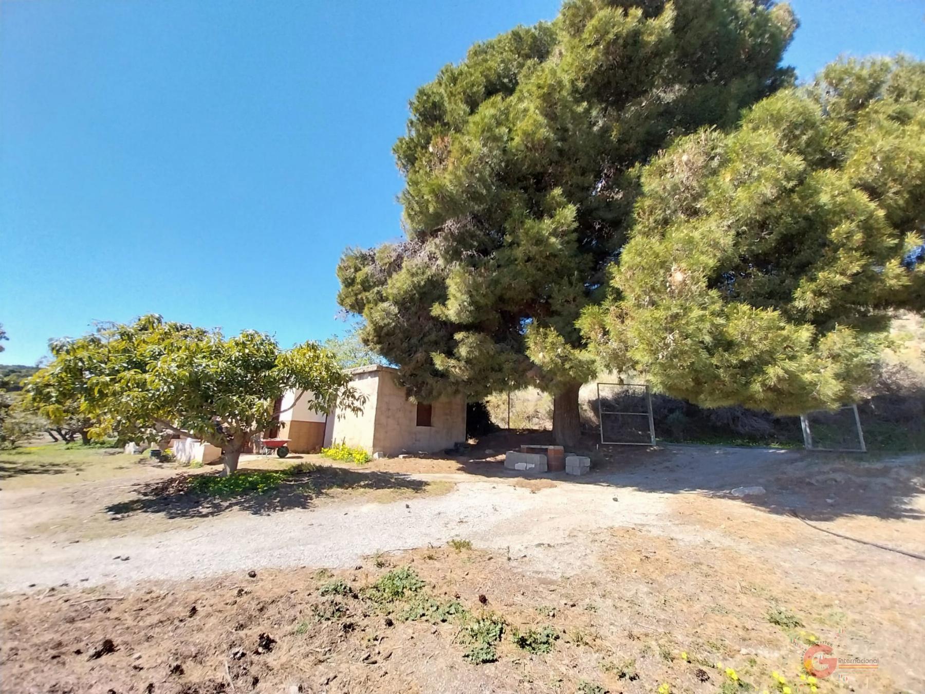 For sale of rural property in Salobreña