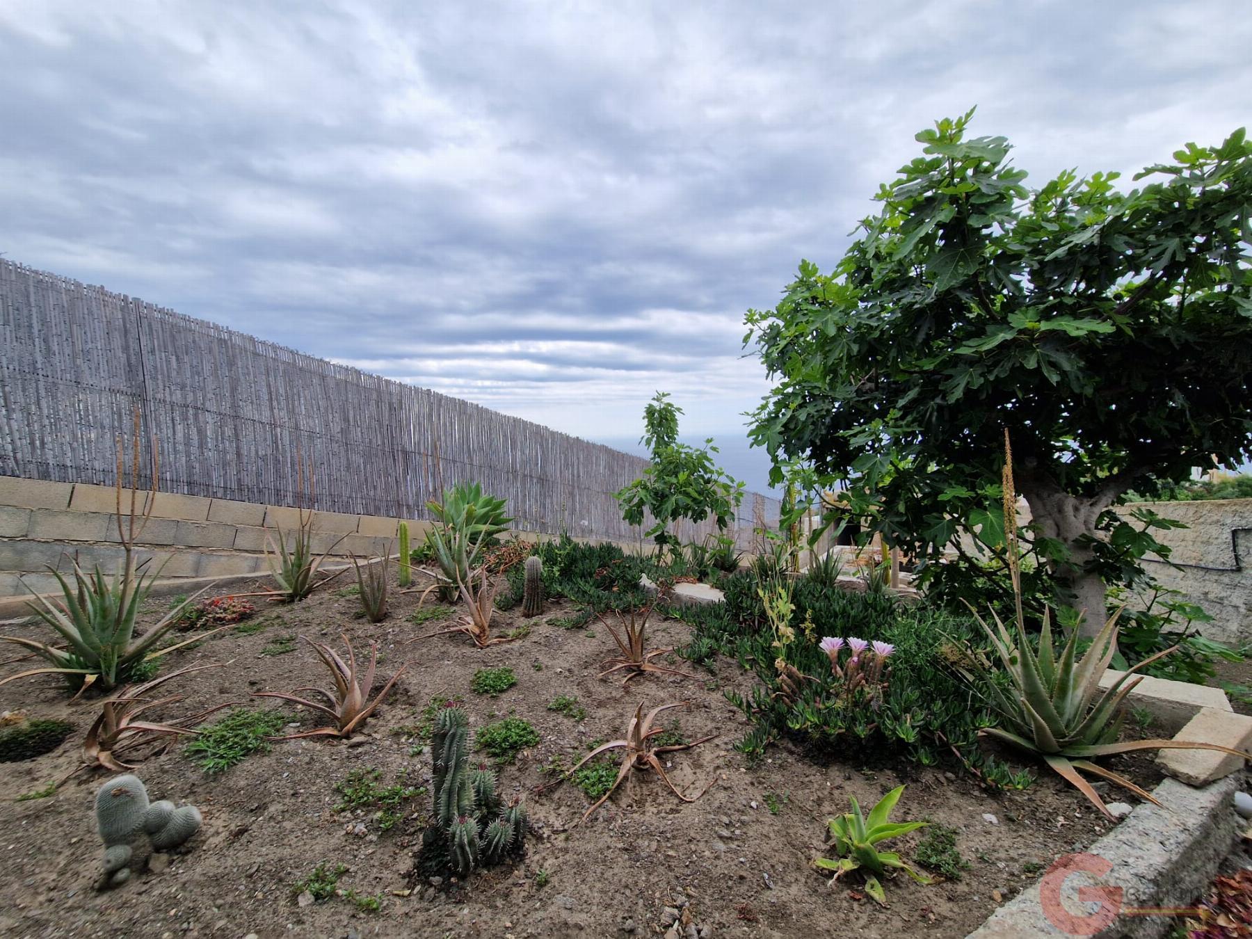 For sale of rural property in Salobreña