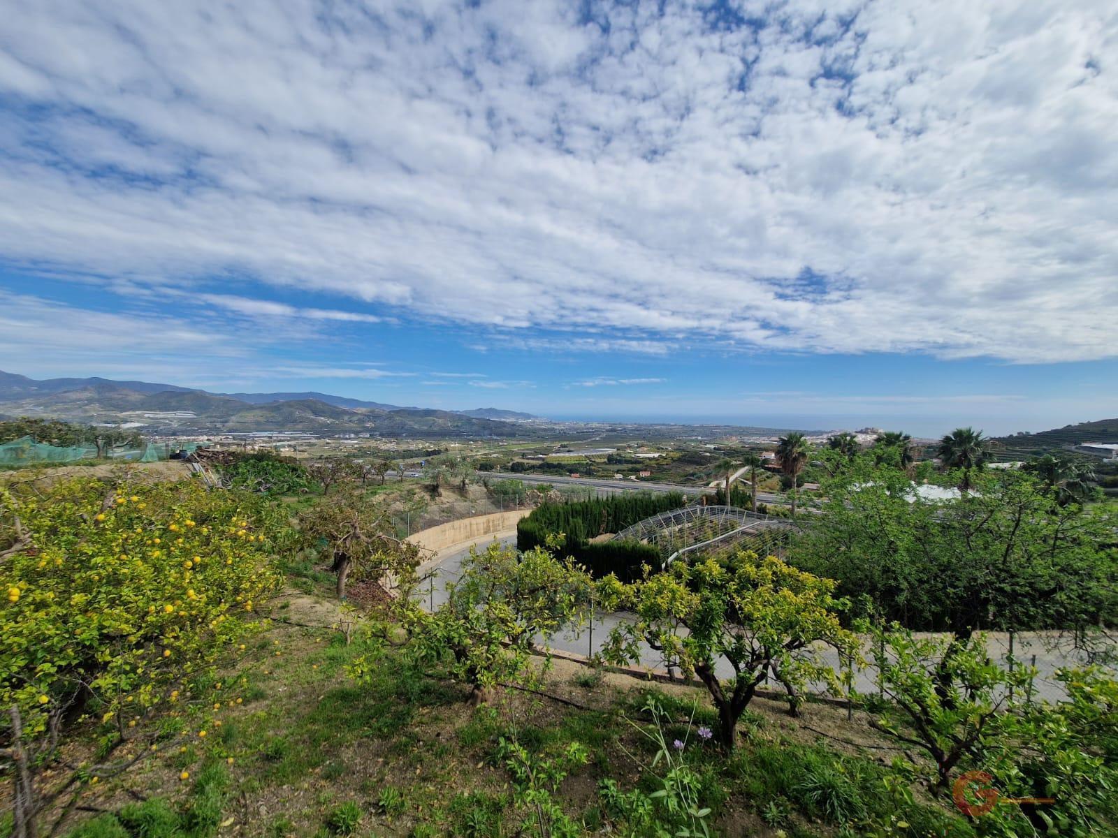 Venta de finca rústica en Salobreña