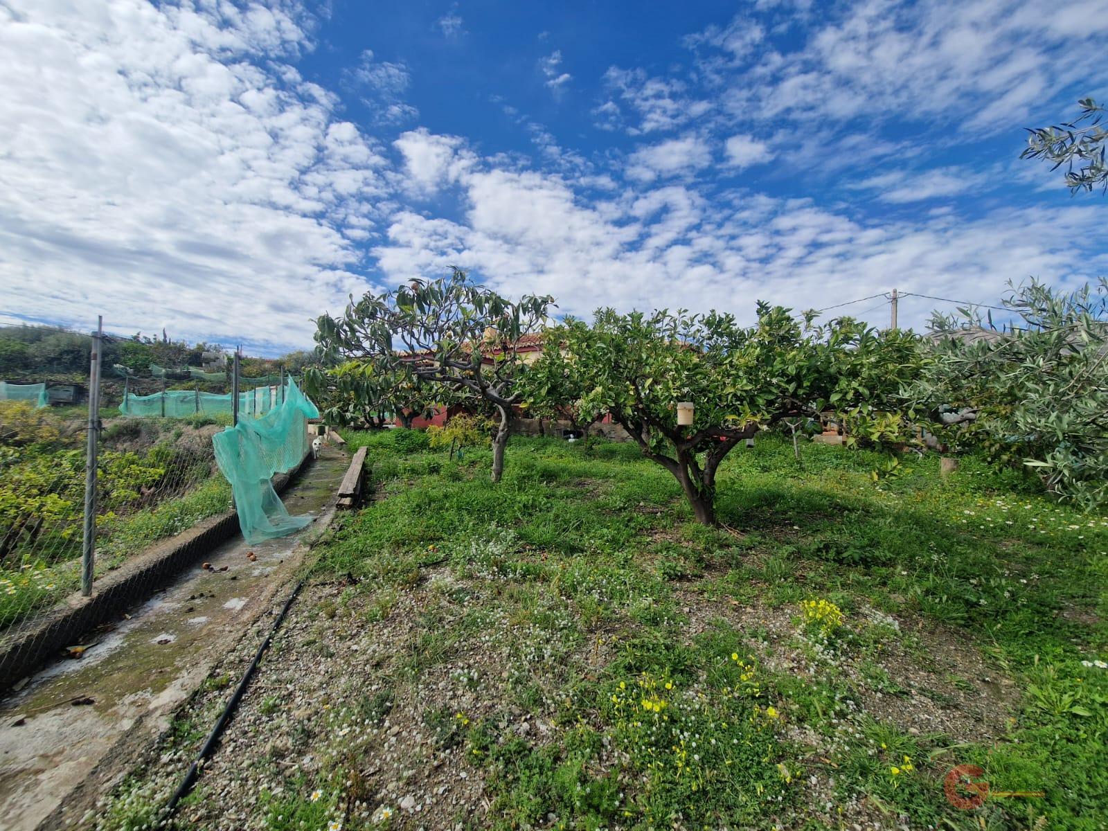 Venta de finca rústica en Salobreña