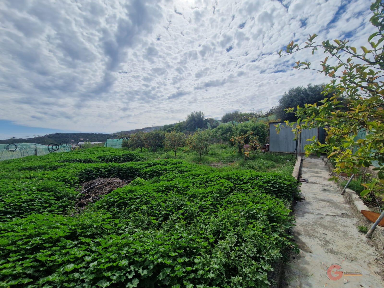 For sale of rural property in Salobreña