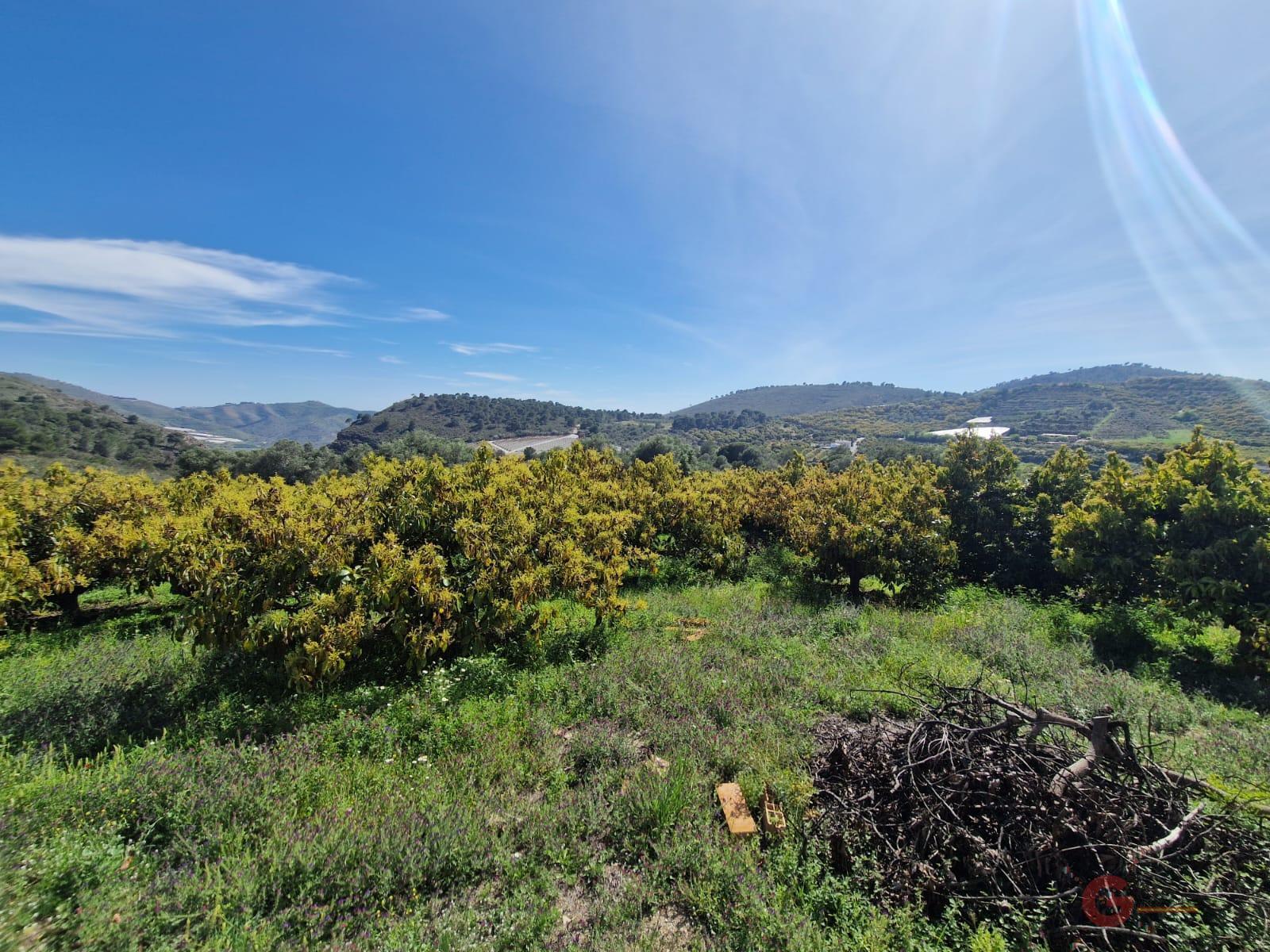 Vente de propriété rurale dans Salobreña