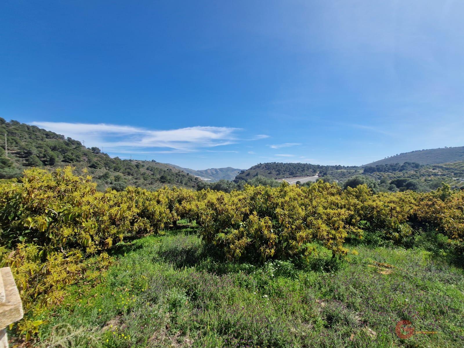 Venta de finca rústica en Salobreña