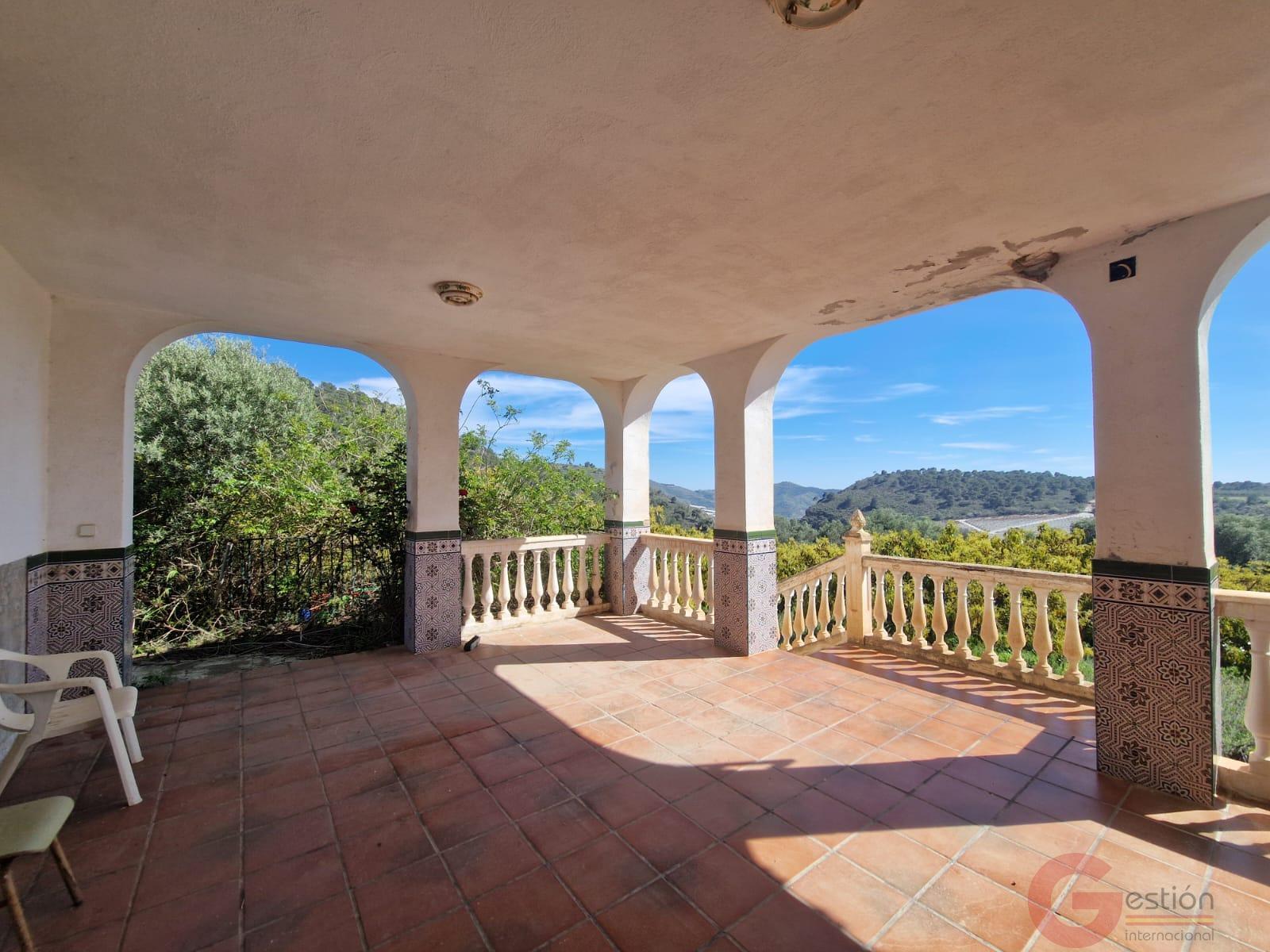 Venta de finca rústica en Salobreña Venta de finca rústica en Salobreña