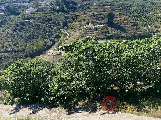 Venta de finca rústica en Nerja