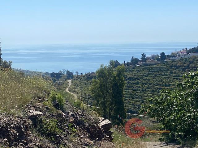 Venta de finca rústica en Nerja