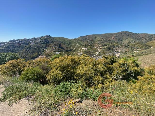 Vente de propriété rurale dans Nerja