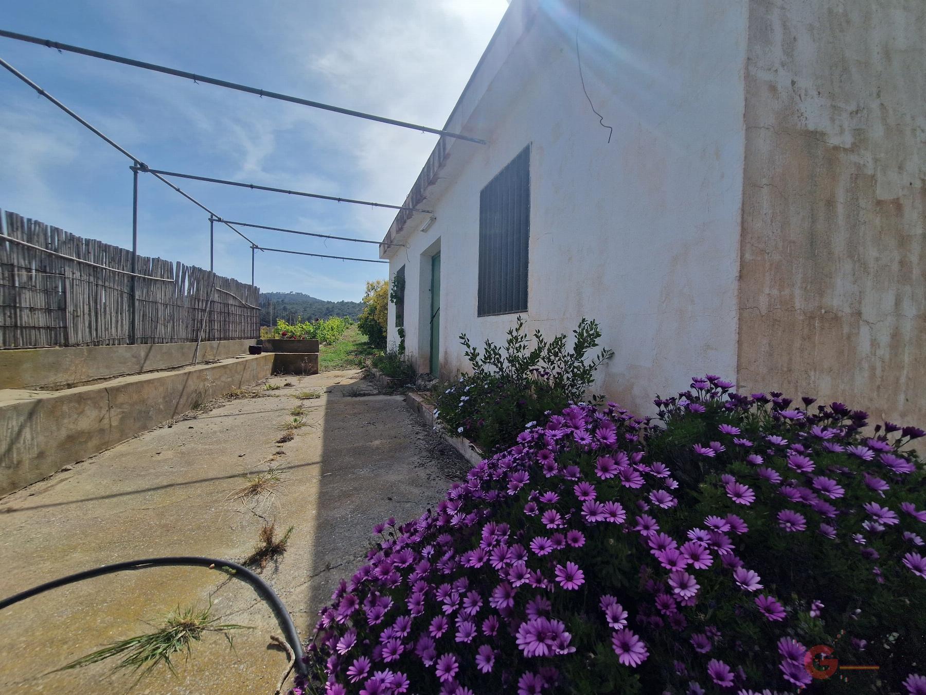 Vendita di proprietà rurale in Salobreña