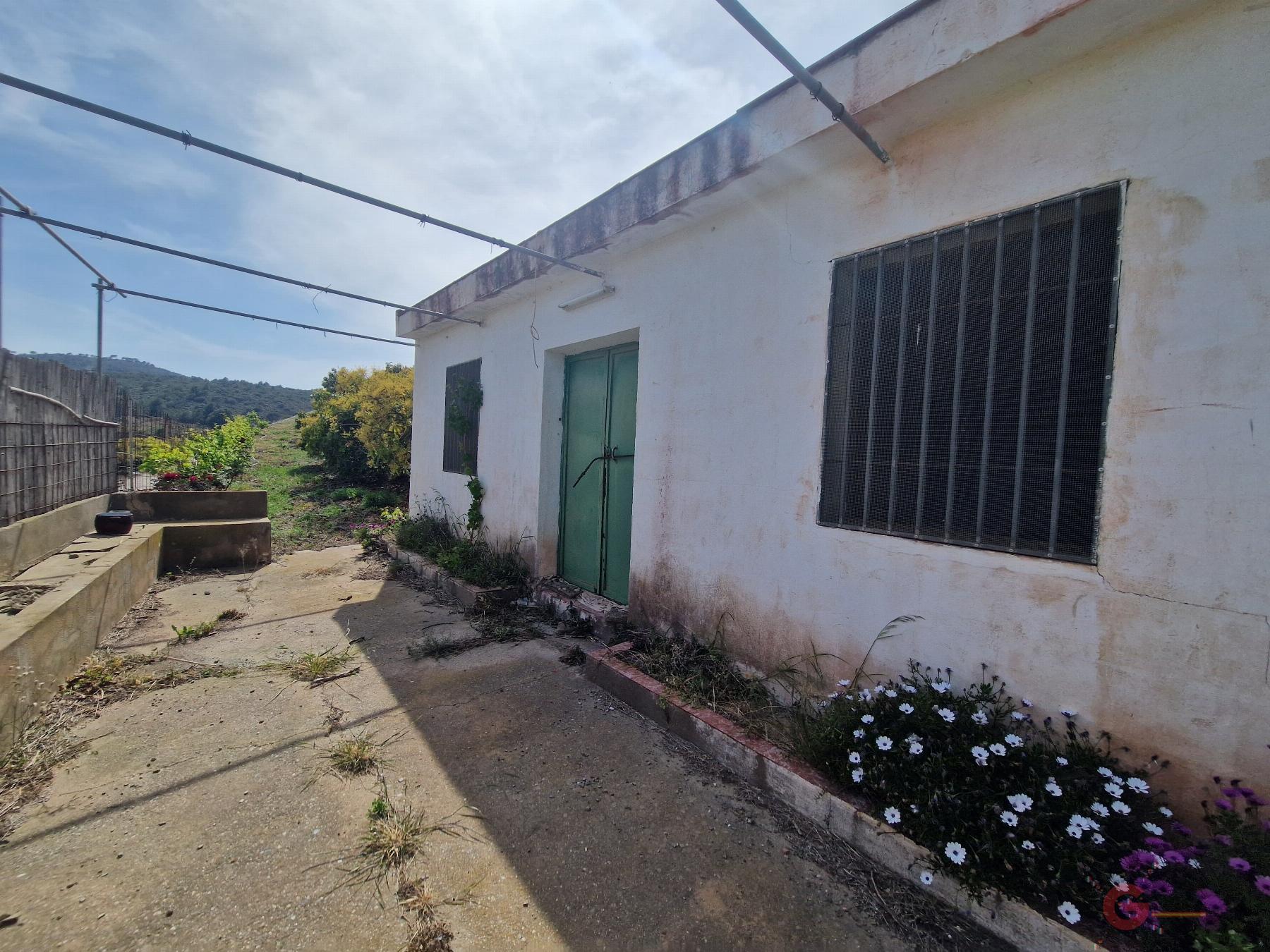 Venta de finca rústica en Salobreña