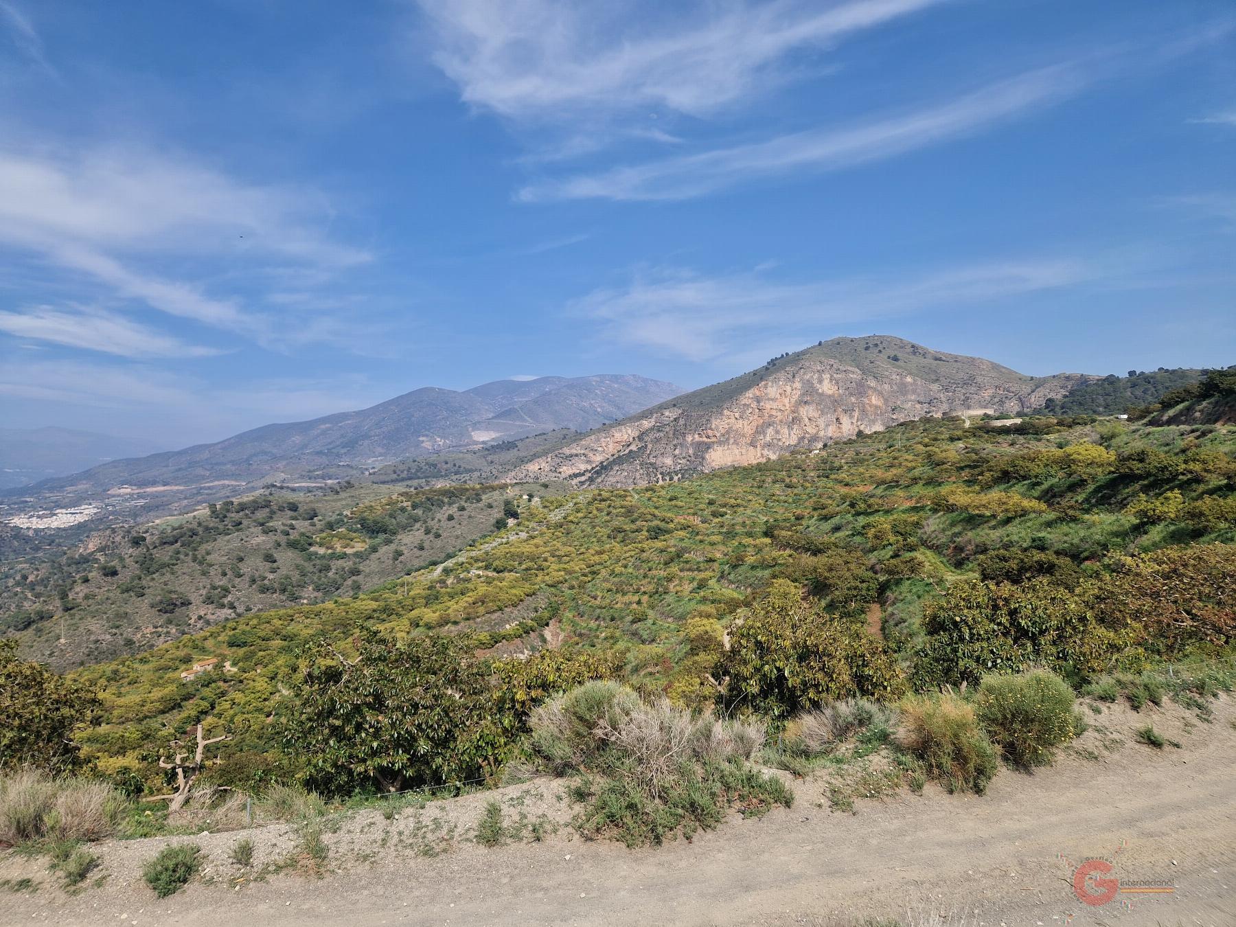 Vendita di proprietà rurale in Salobreña