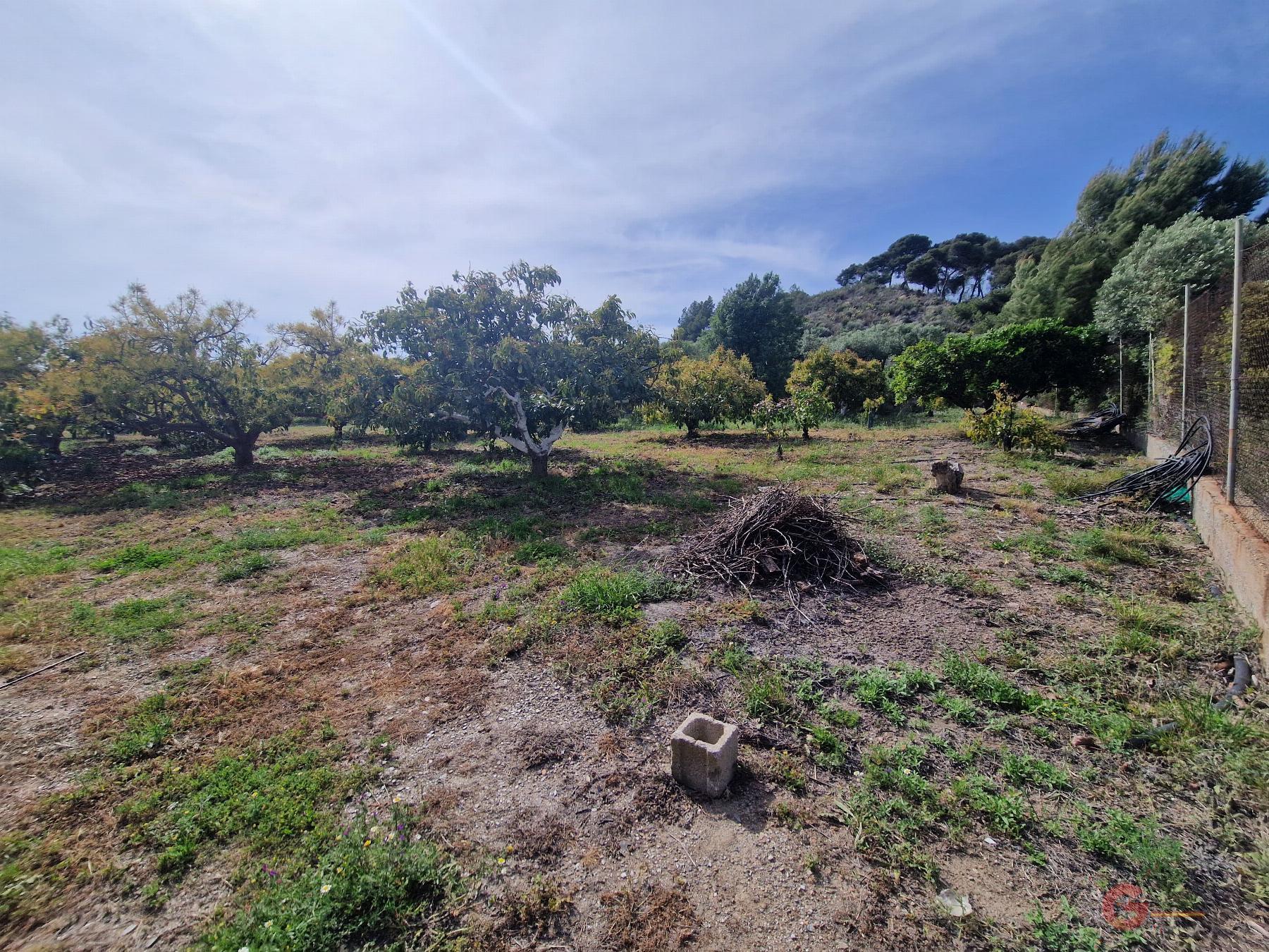 Venta de finca rústica en Salobreña