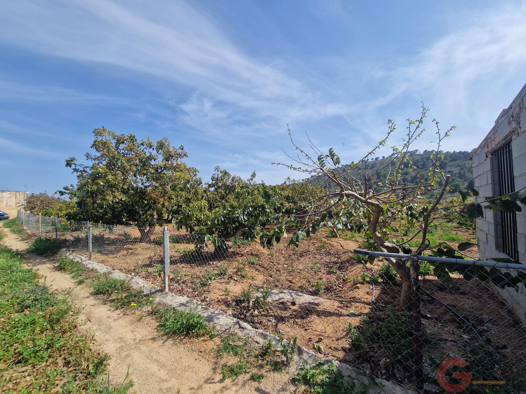 Venta de finca rústica en Salobreña Venta de finca rústica en Salobreña