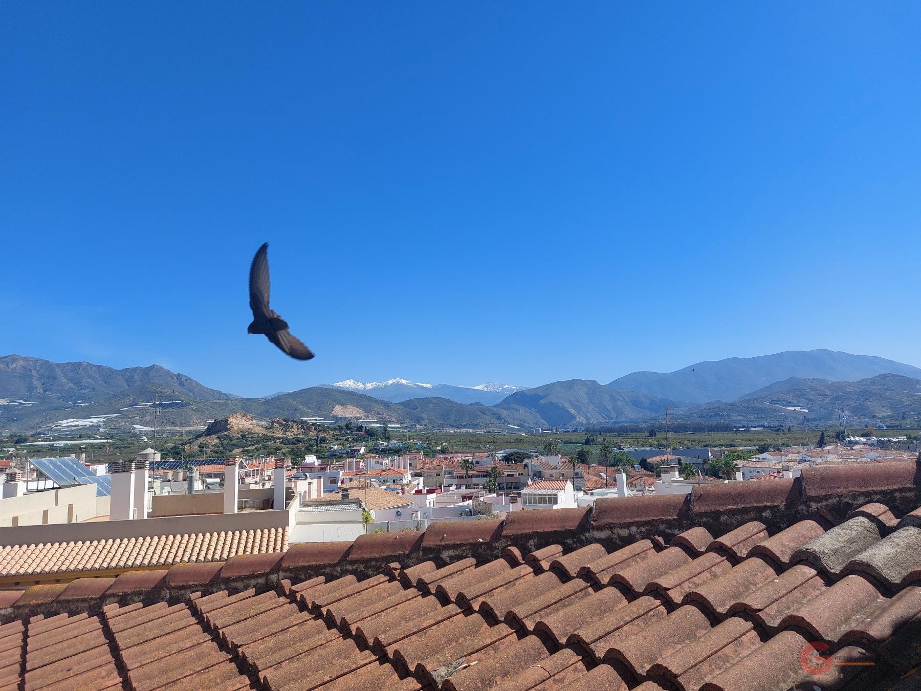 Venta de casa en Salobreña