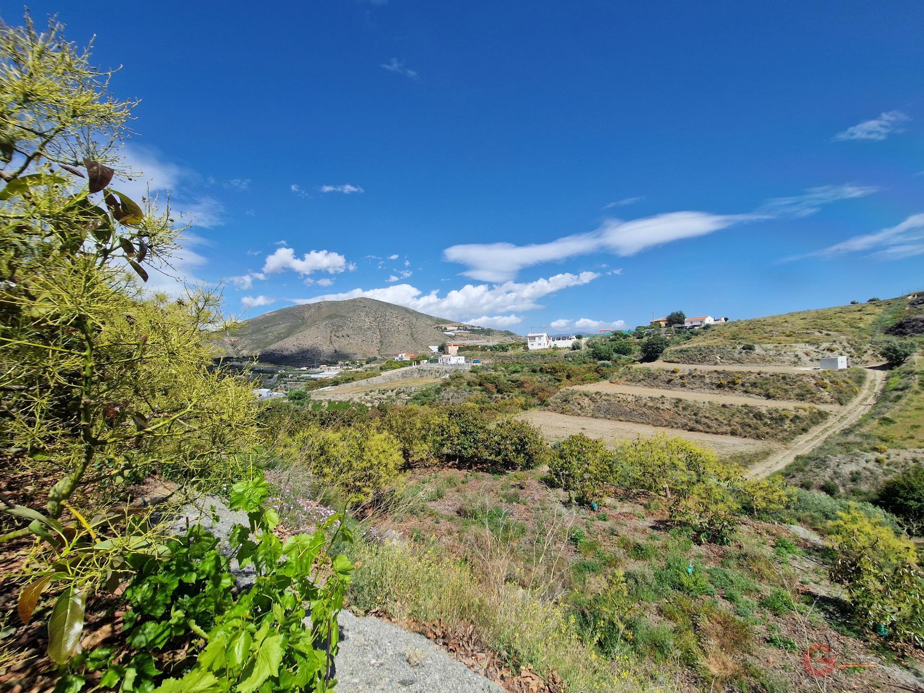 Vendita di proprietà rurale in Molvízar
