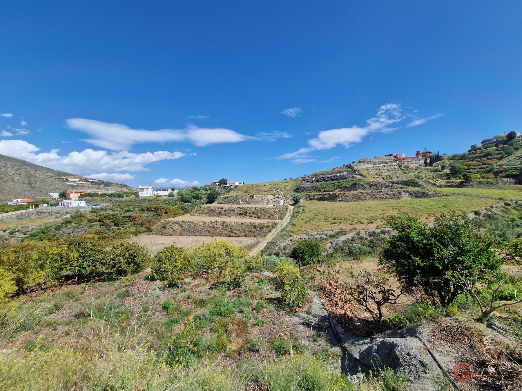 Vendita di proprietà rurale in Molvízar