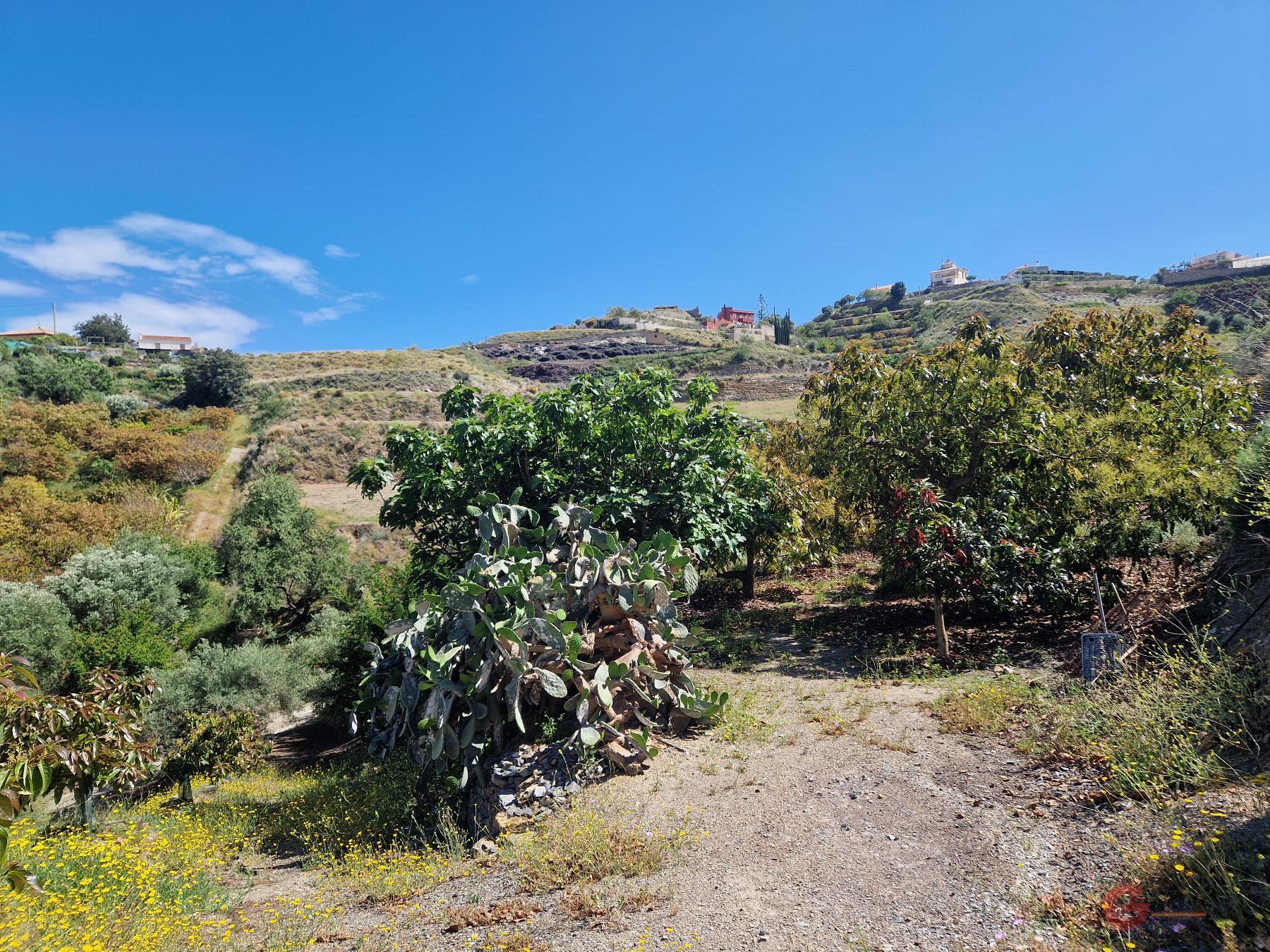 Vendita di proprietà rurale in Molvízar
