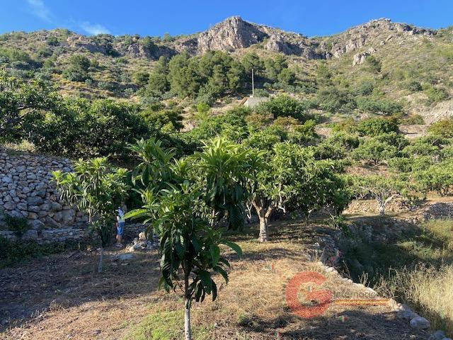 Vente de propriété rurale dans Otívar