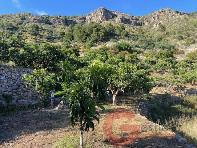 Venta de finca rústica en Otívar Venta de finca rústica en Otívar