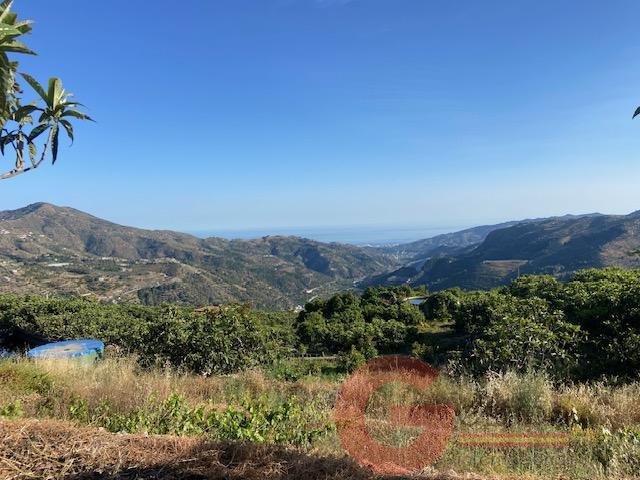 Venta de finca rústica en Otívar Venta de finca rústica en Otívar