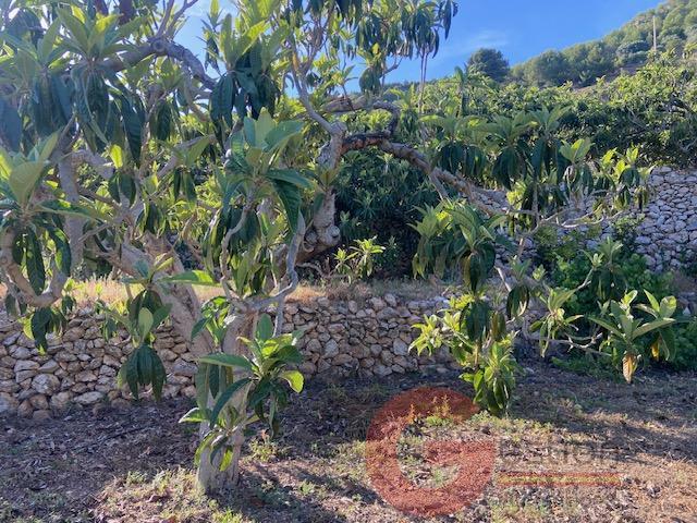 Venta de finca rústica en Otívar Venta de finca rústica en Otívar